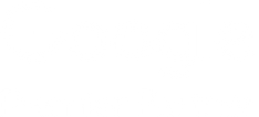 Google Partner